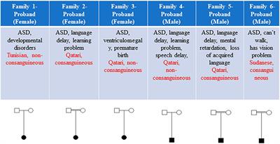 Identification of two novel autism genes, TRPC4 and SCFD2, in Qatar simplex families through exome sequencing